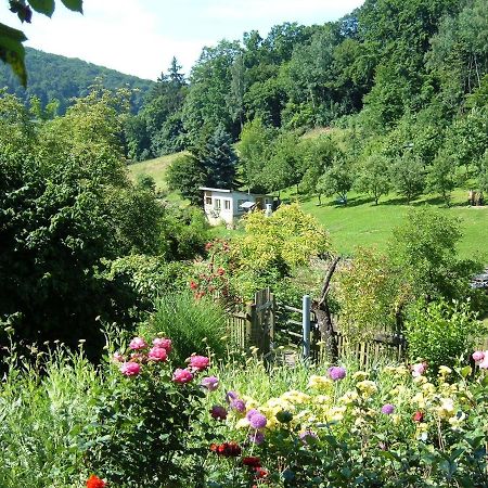 Ferienwohnungen "Allerleigruen" Langenroda Exterior foto